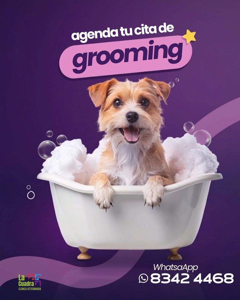 Publicación de La Cuadra: agenda tu cita de grooming
