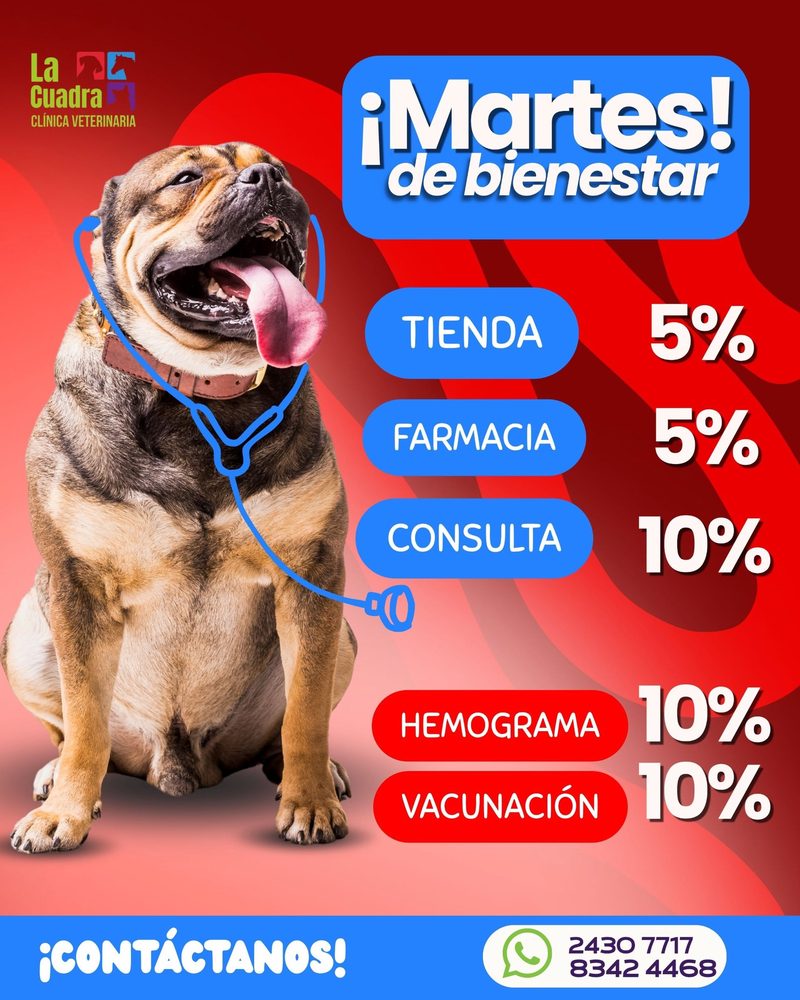 Publicación de La Cuadra: Martes de bienestar, descuentos en tienda, farmacia, consulta, hemograma y vacunación