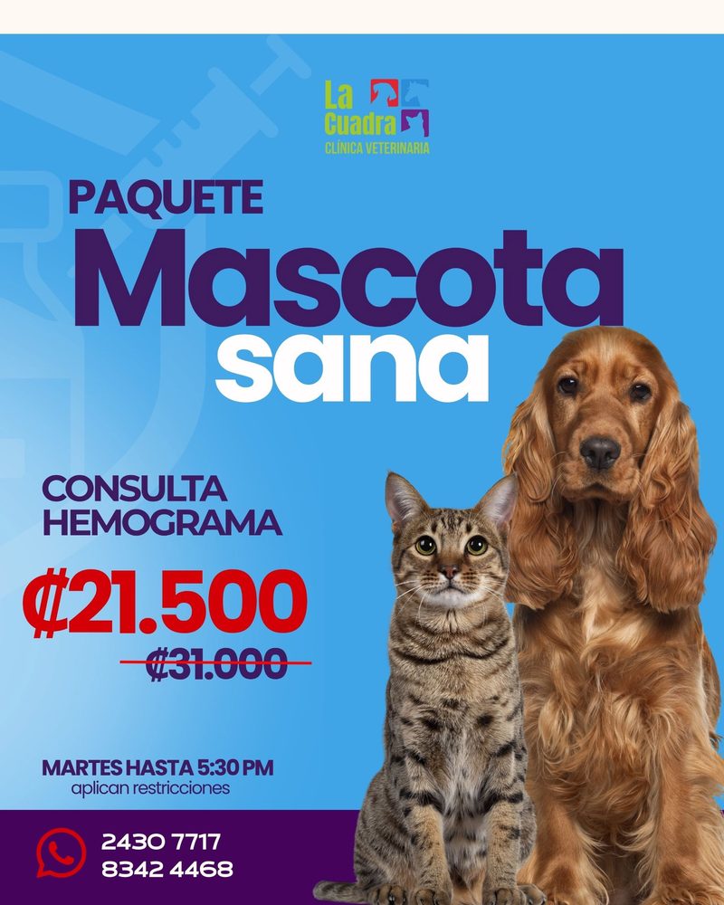 Publicación de La Cuadra: Paquete Mascota sana, consulta y hemograma